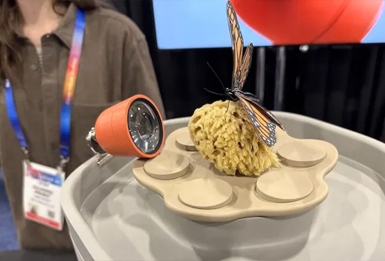 Smart bird feeders shine at CES: A top gift that's just getting started