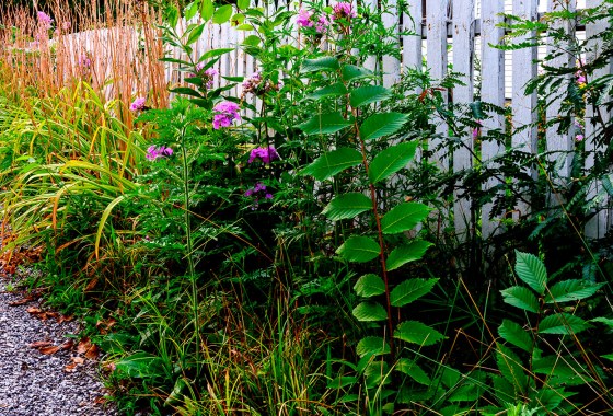 Earth Day tips for taking care of your outdoor space