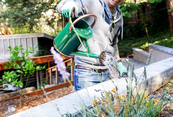 Which are the best flowers to plant in spring?