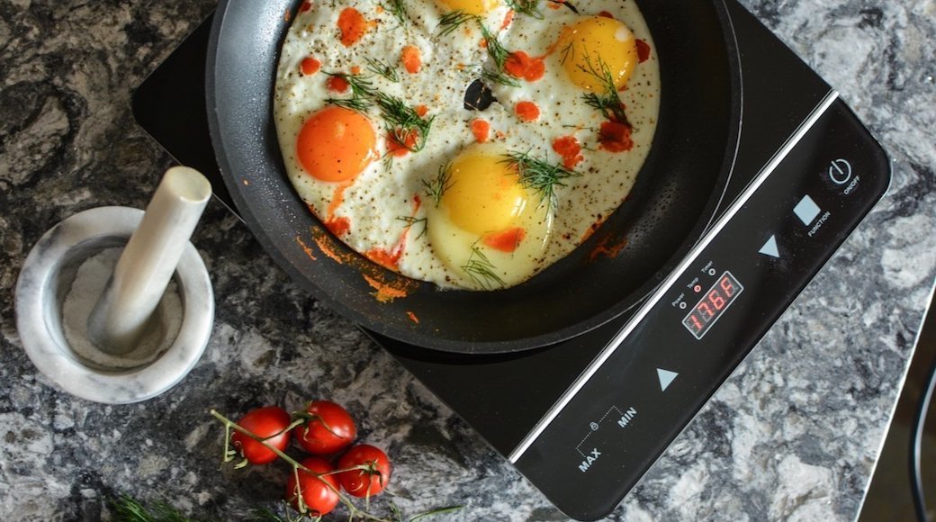 5 Best Induction Burners Mar. 2018 BestReviews