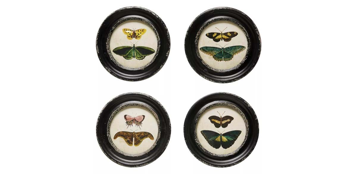 Storied Home (Set of 4) Moth and Butterfly Framed Wall Art Set
