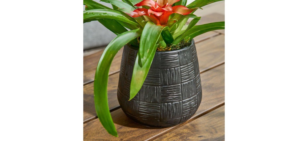 Better Homes &amp; Gardens 5in Black Ceramic Brett Planter on table