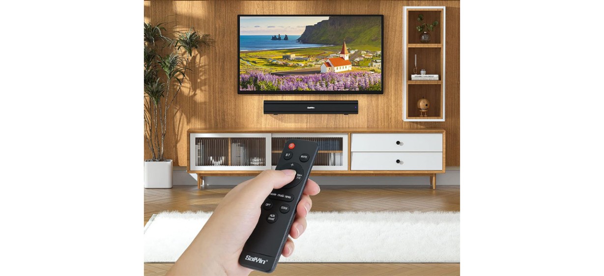 Best Saiyin 40-Watt Small Sound Bar for TV Best Saiyin 40-Watt Small Sound Bar for TV