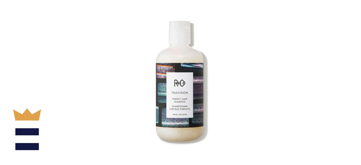 R and Co. Television Perfect Hair Shampoo