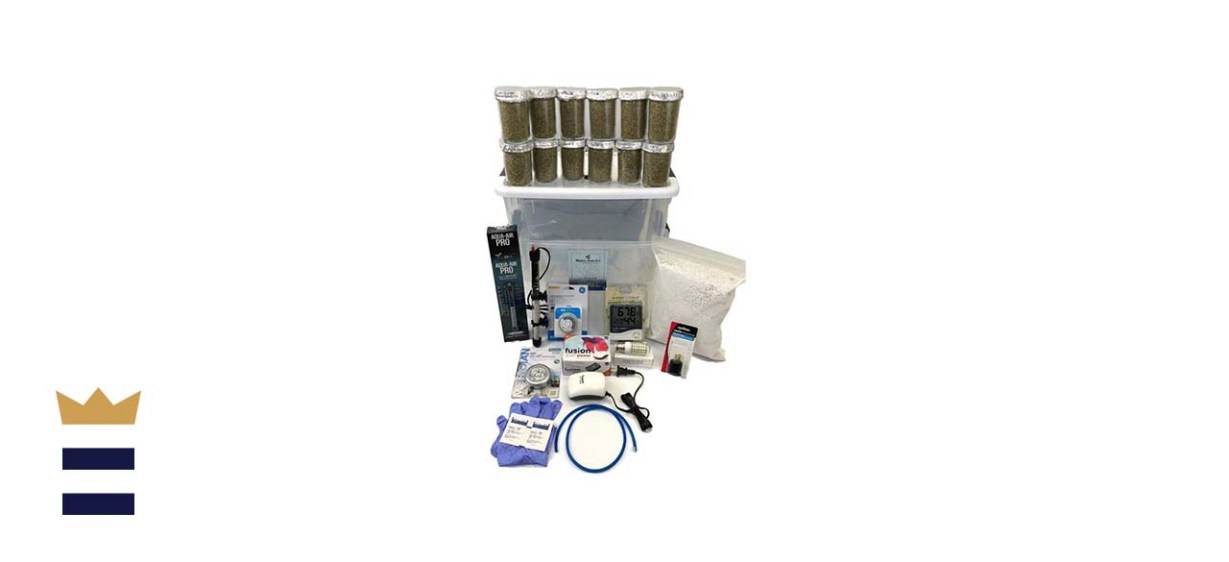 Virgenu 12-Jar Mushroom Growing Kit