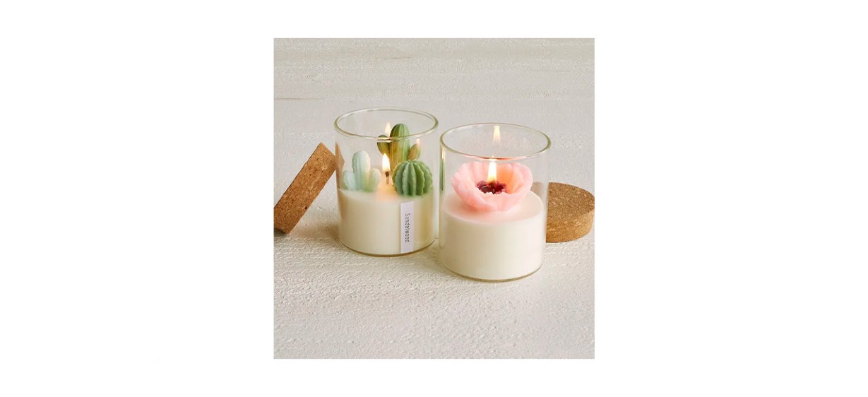 Best Zoe Tang Terrarium Candle Best Zoe Tang Terrarium Candle