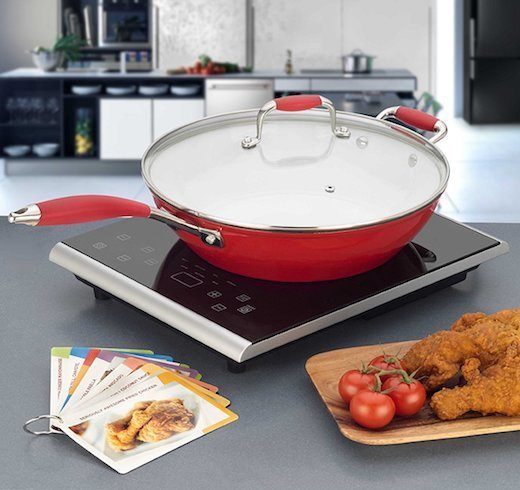bon appetit induction burner