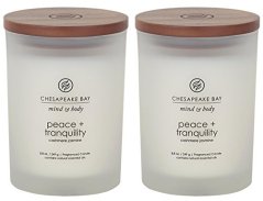 Chesapeake Bay Candle Scented 2-pack
