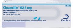 Dechra Clavacillin Tablets for Dogs & Cats