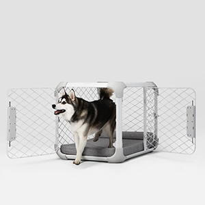 Diggs Evolv Dog Crate