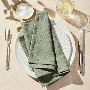 https://cdn8.bestreviews.com/images/product-images/food52_five-_two_everyday_soft_cotton_cloth_napkins.png