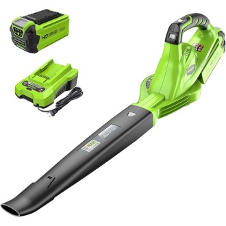 Greenworks  40V Leaf Blower/Sweeper