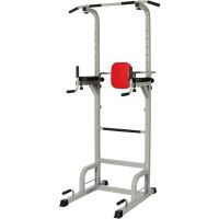 Everyday Essentials Power Tower with Push Up