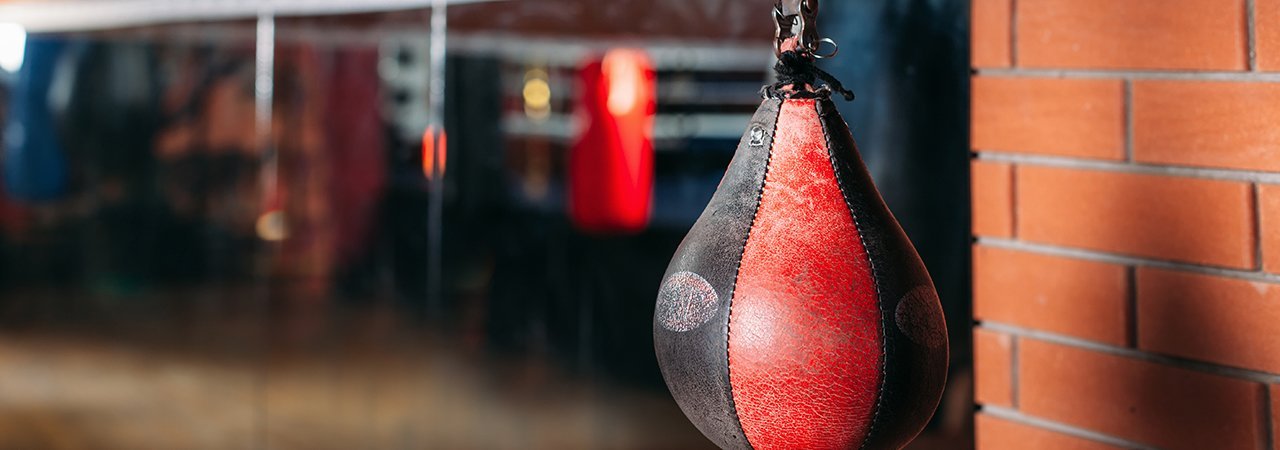 5 Best Punching Bags - Mar. 2021 - BestReviews