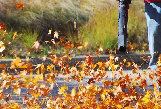 Best Worx Leaf Blowers