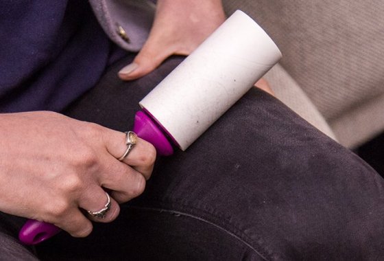 Best Pet Lint Rollers