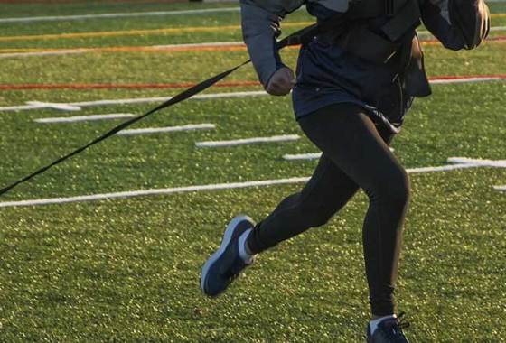 Best Speed Sleds