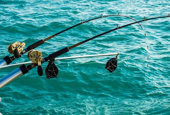 Best Fishing Rod Racks