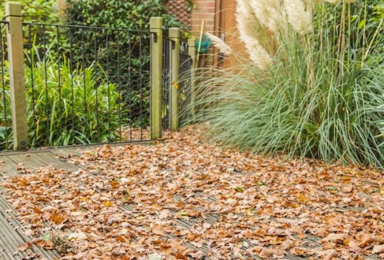 Best Leaf Vacuums