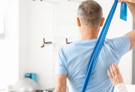 Best Back Stretchers