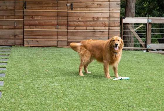 Best Artificial Grass Mats
