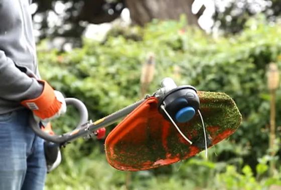 Best Gas Weed Eaters