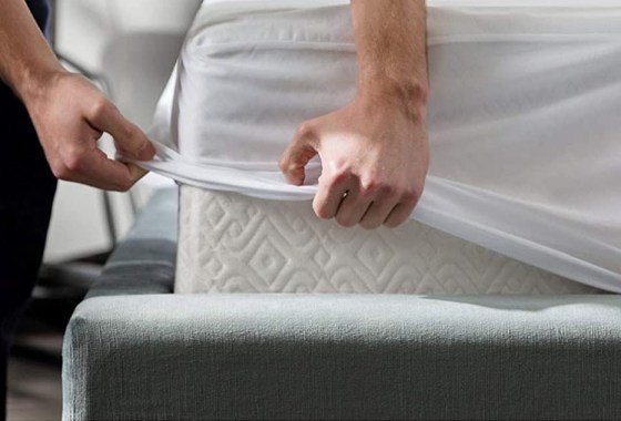 Best Mattress Protectors