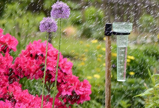 Best Rain Gauges