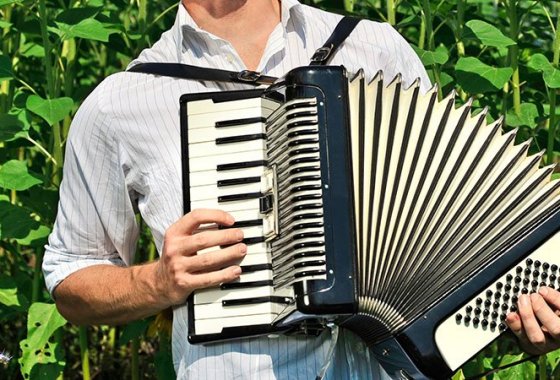 Best Accordions