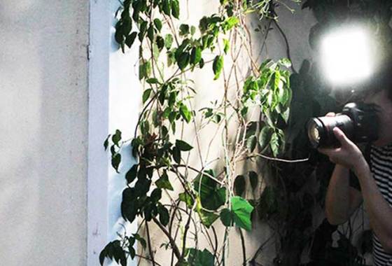 Best On-Camera Video Lights