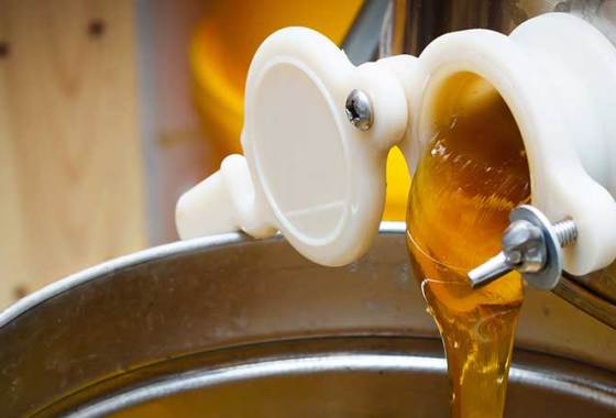 Best Honey Extractors