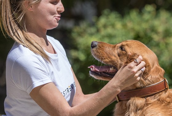 Best Collars for Large Dogs