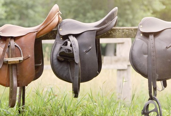 Best Horse Saddles