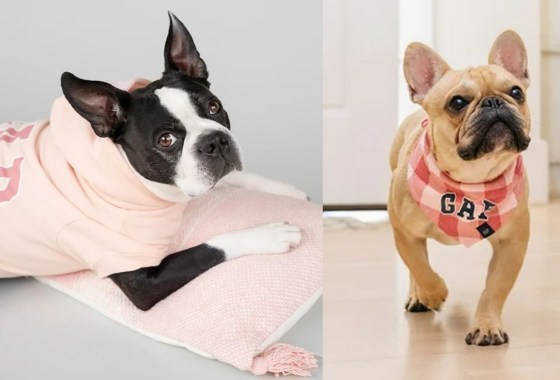 Walmart’s new Gap Pet line is as affordable as it is adorable