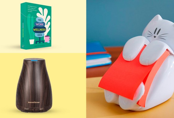 50+ Secret Santa gifts for under $20