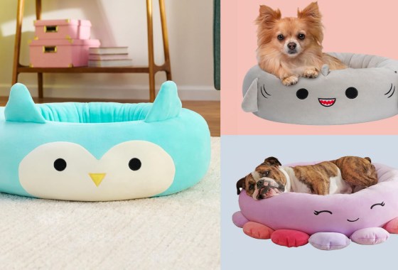 Squishmallow makes pet beds and they're as cute as you think