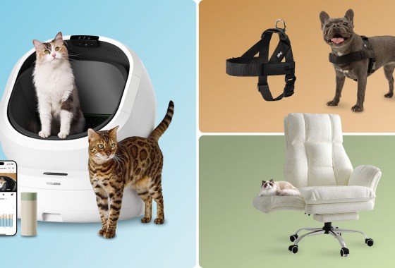 Editor-recommended pet products that actually make your life better 