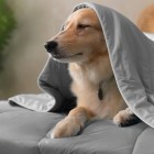 A cooling blanket is the summer hack you absolutely need