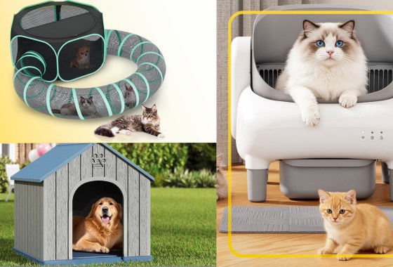 Pet products rule Walmart’s Flash Deals this week