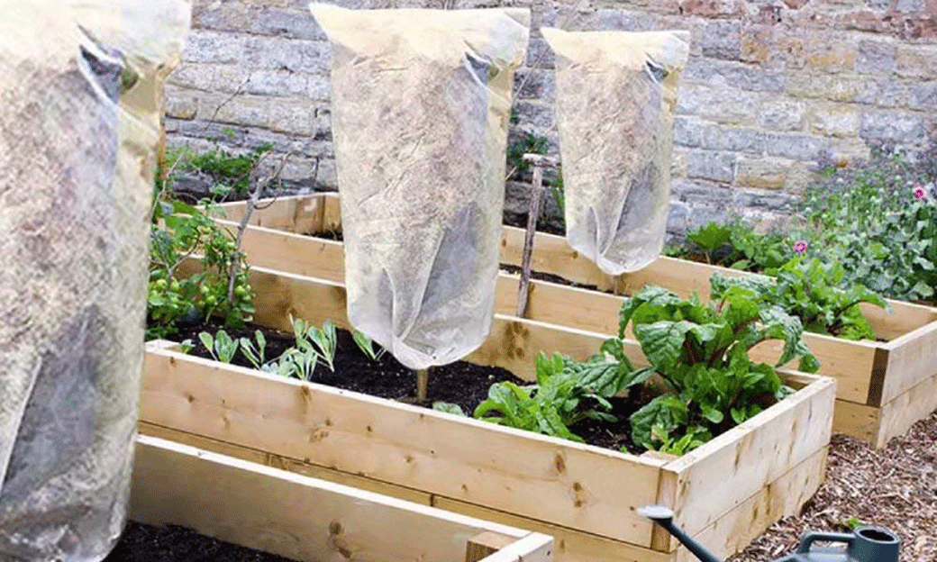 5 Best Plant Covers Aug. 2021 BestReviews