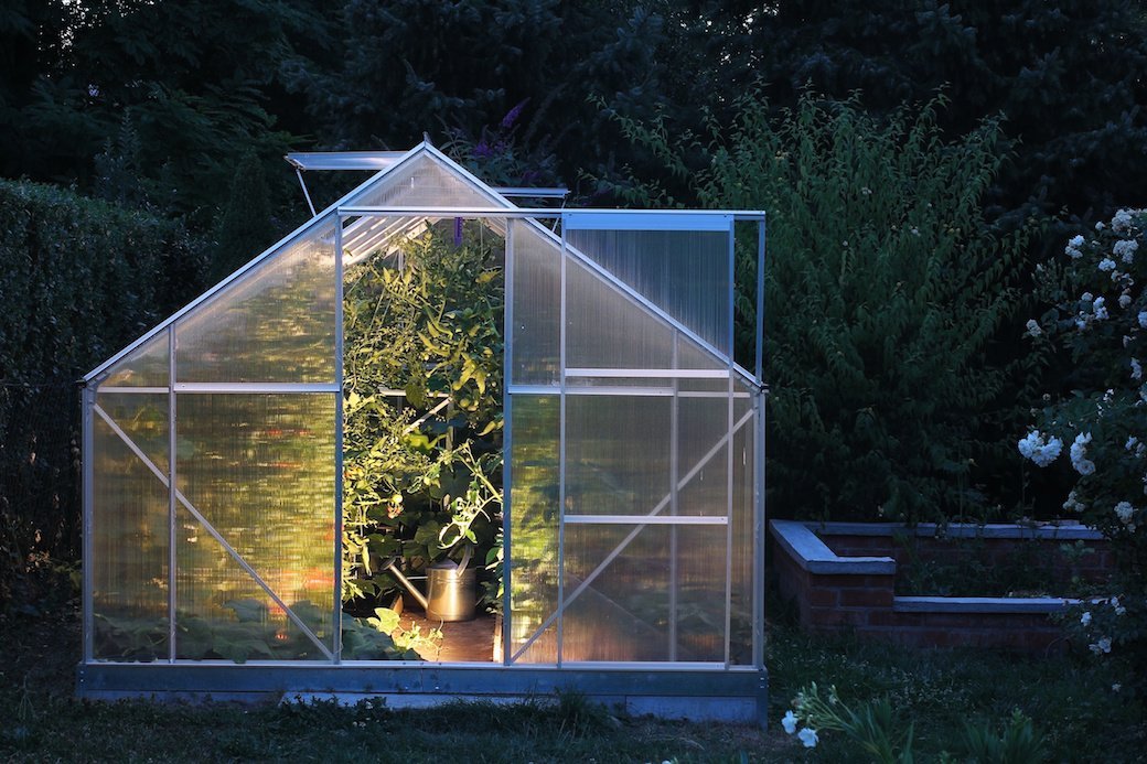 5 Best Greenhouses Sept. 2020 BestReviews