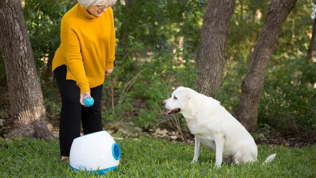 5 Best Automatic Dog Ball Launchers - May 2021 - BestReviews