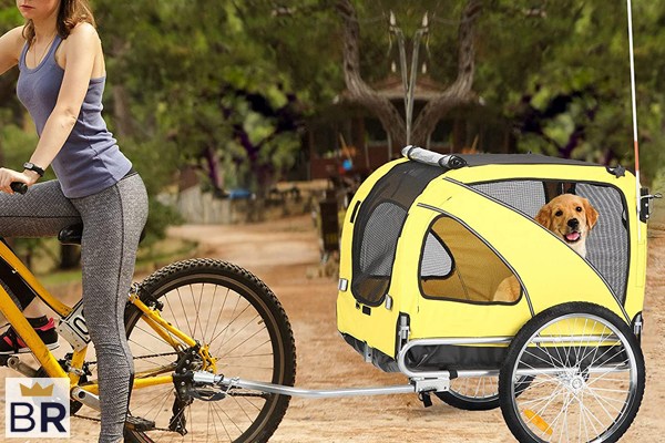 This Primo Dog Bike Trailer Will Keep You Adventuring All Summer