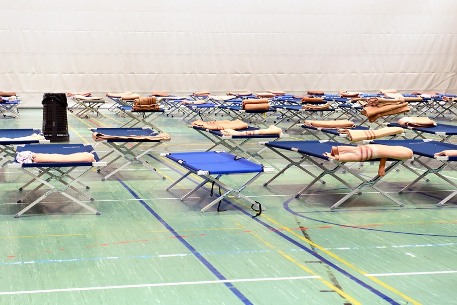 5 Best Cots May 2024 BestReviews