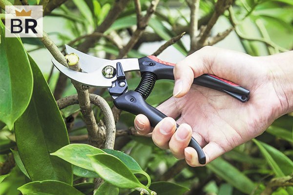 Mockins Professional Heavy Duty Garden Black Bypass Pruning Shears Stainless Steel Blades