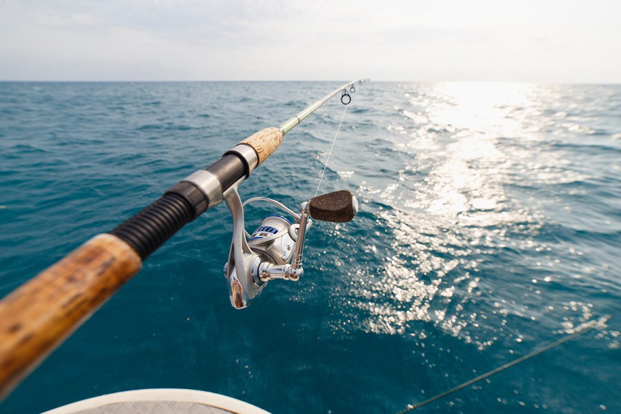 5 Best Fishing Rods - Apr. 2024 - BestReviews