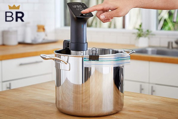 https://cdn8.bestreviews.com/images/v4desktop/image-full-page-600x400/07-review-sous-vide-machines-7d17ac.jpg?p=w900