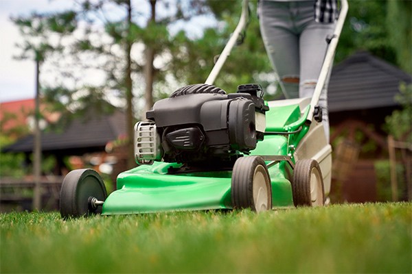 Gas lawn best sale mower maintenance