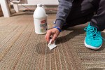 top rated carpet cleaning solutions