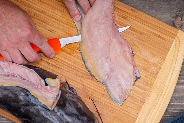 Types of Fillet Knives
